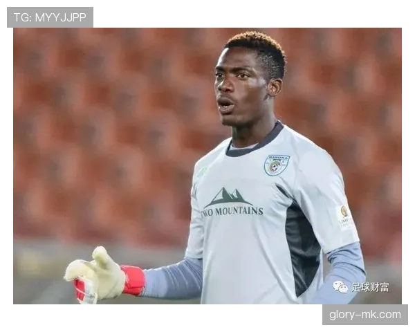 非洲足球反腐风暴升级,多起腐败丑闻曝光引发广泛关注 非洲足球反腐风暴升级,多起腐败丑闻曝光引发广泛关注